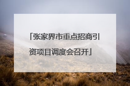 张家界市重点招商引资项目调度会召开